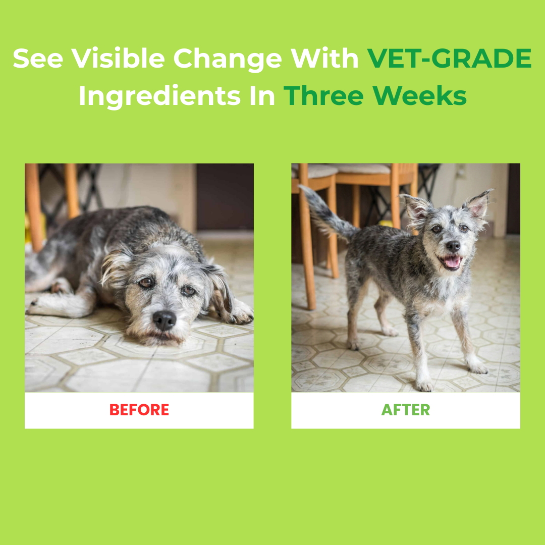 ValourPaw™ - Milk Thistle Detox