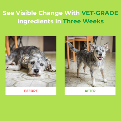 ValourPaw™ - Milk Thistle Detox